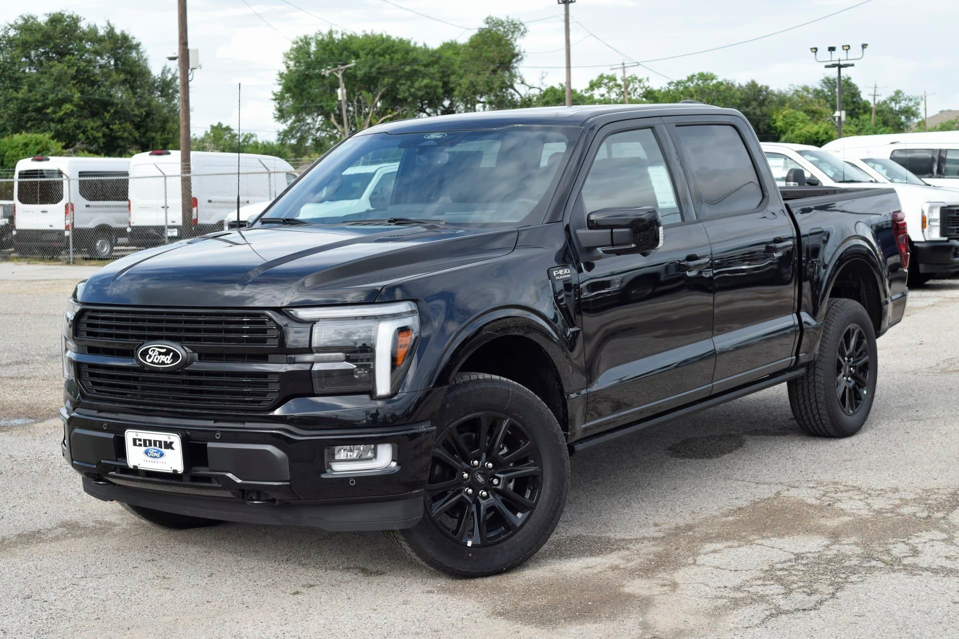 2025 Ford F-150 Platinum